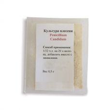 Культура плесени Penicillium Candidum в Майкопе